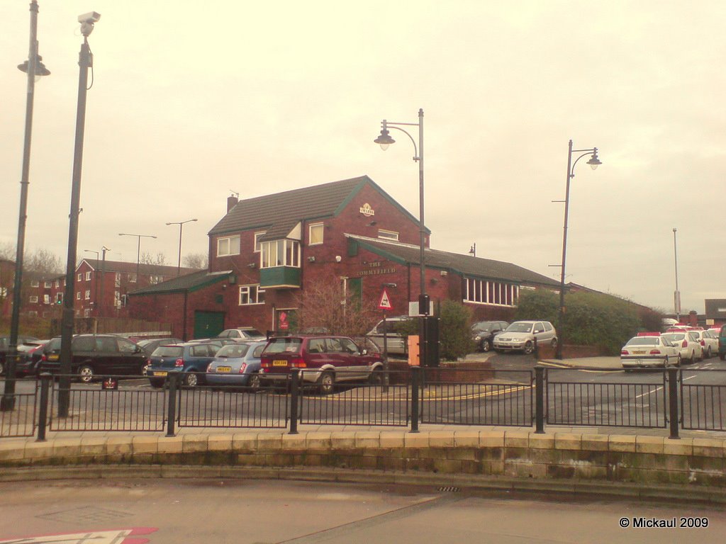 The Tommyfield, Oldham, Lancashire, England. UK by mickaul