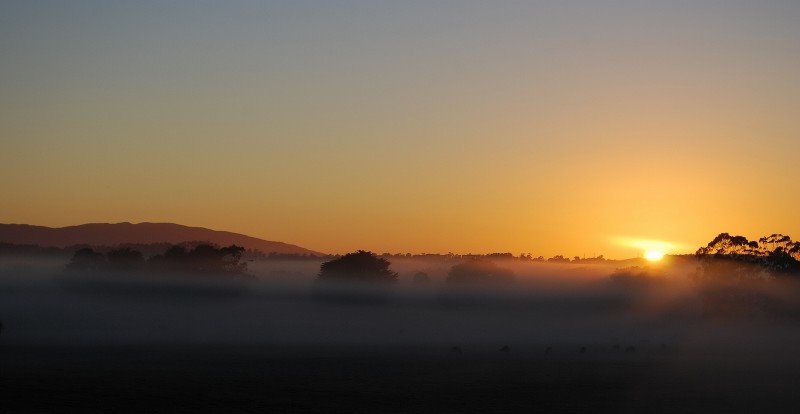 Sunrise over early morning fog, Warragul by phunny fotos