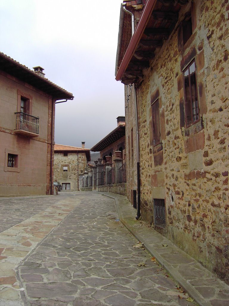 Calle de, Pineda de la Sierra (Burgos) by ©-Miguel A. Rodríguez Terán