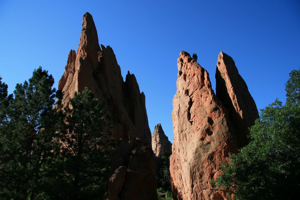 Garden of the Gods by Richard Ryer