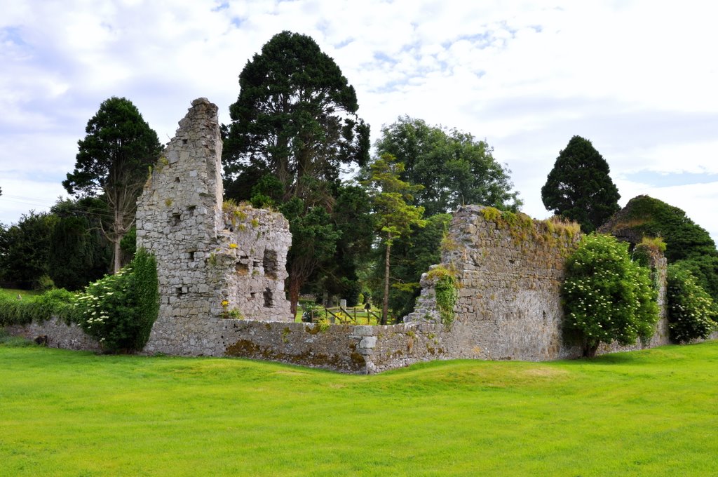 The Grey Abbey, Kildare, Ireland. by Nicola e Pina Irlanda 2009