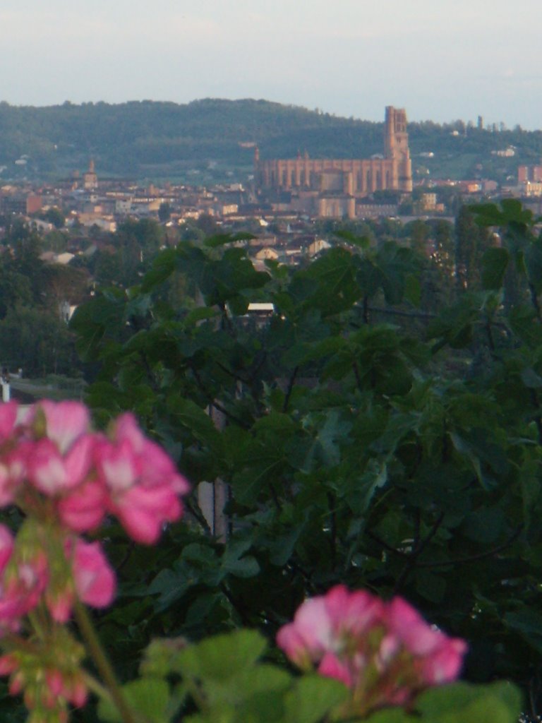 Cathédrale Sainte-Cécile d'Albi vue de la cote de la Drêche by myme81