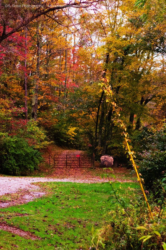 Hudson Valley Road In The Fall by seanrose.com