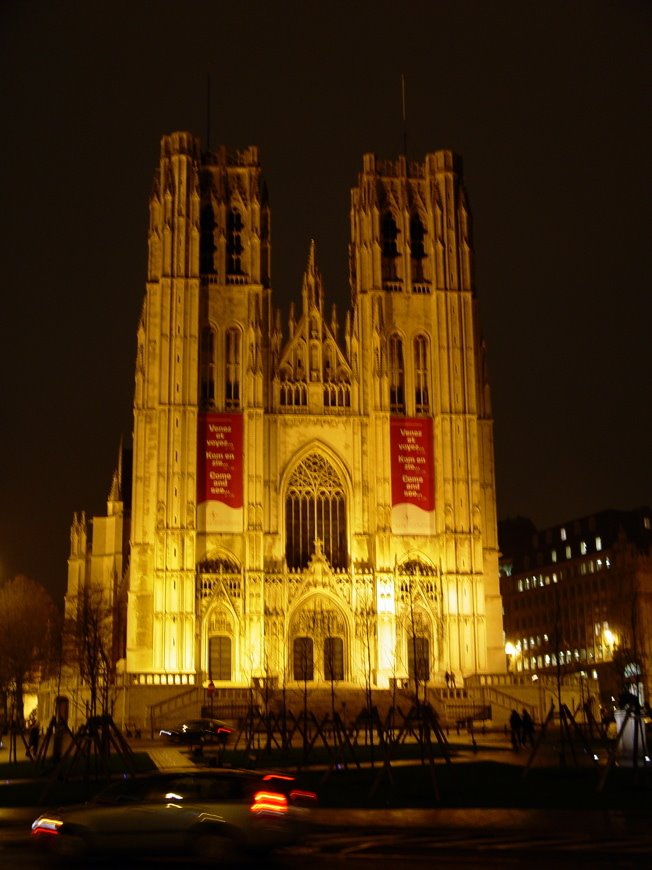 Cathédrale Saints-Michel-et-Gudule by Fernando Miluy