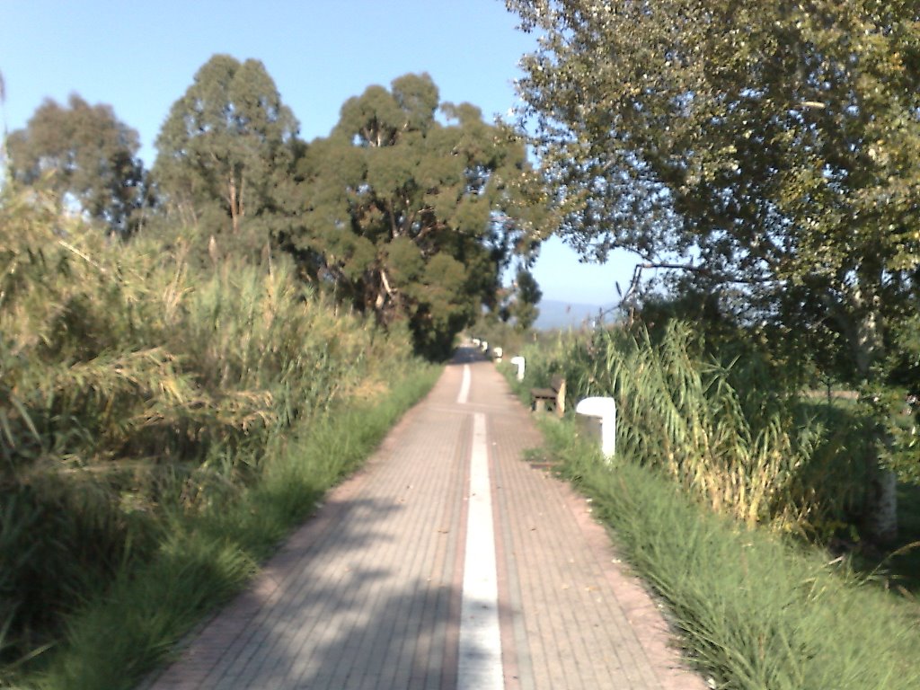 Pista ciclabile lungo il fiume Cecina by MirkoG.