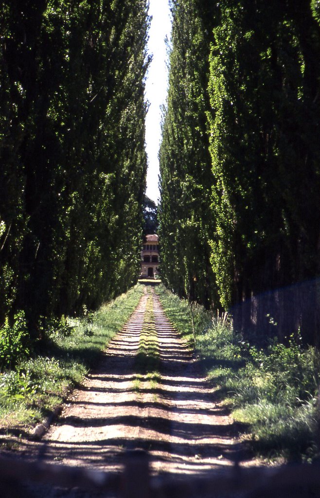 Valenza - Fraz. Astigliano, viale che porta alla villa. by Angelo Leone (Algorad)