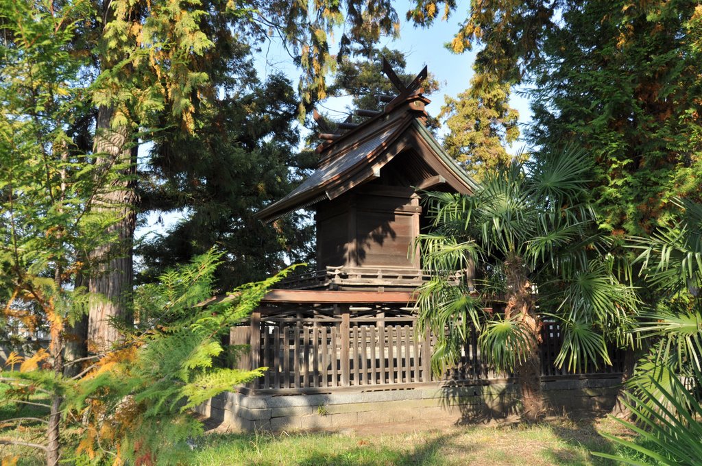 Kaina-Jinja 甲斐奈神社 (2009.11.07) by k.takita