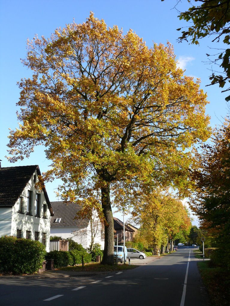 Oldenburg Weißenmoorstraße Ecke Stubbenweg by vo-id