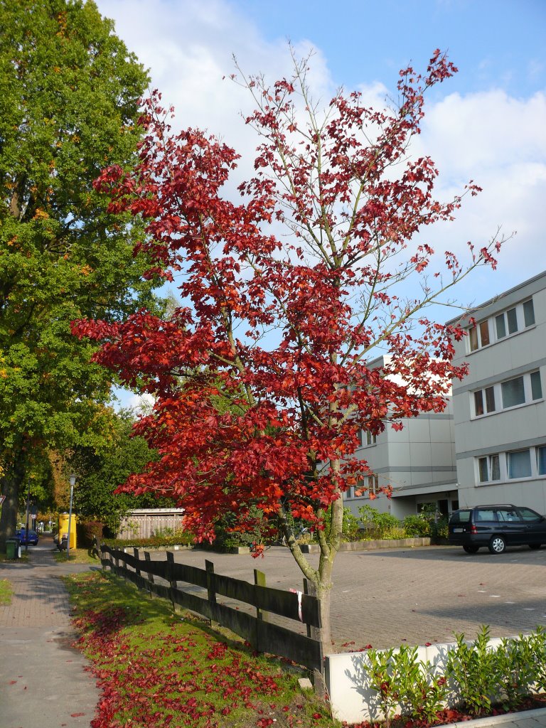 Oldenburg Siebenbürger Straße by vo-id