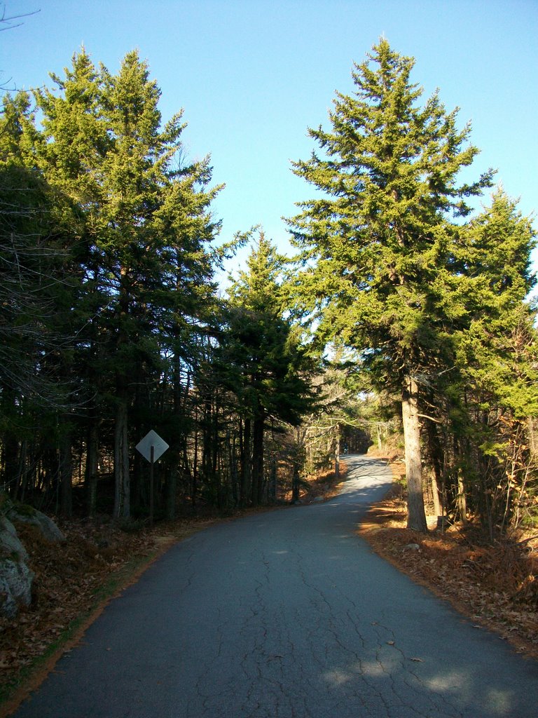 Pack Monadnock Winding Upwards by D.Campbell