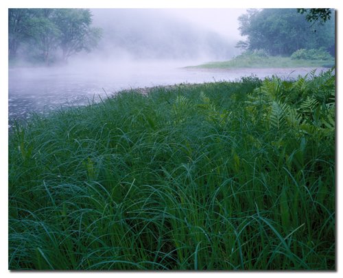 Grass on the Banks of the Susquehanna River by Paul Gilbert