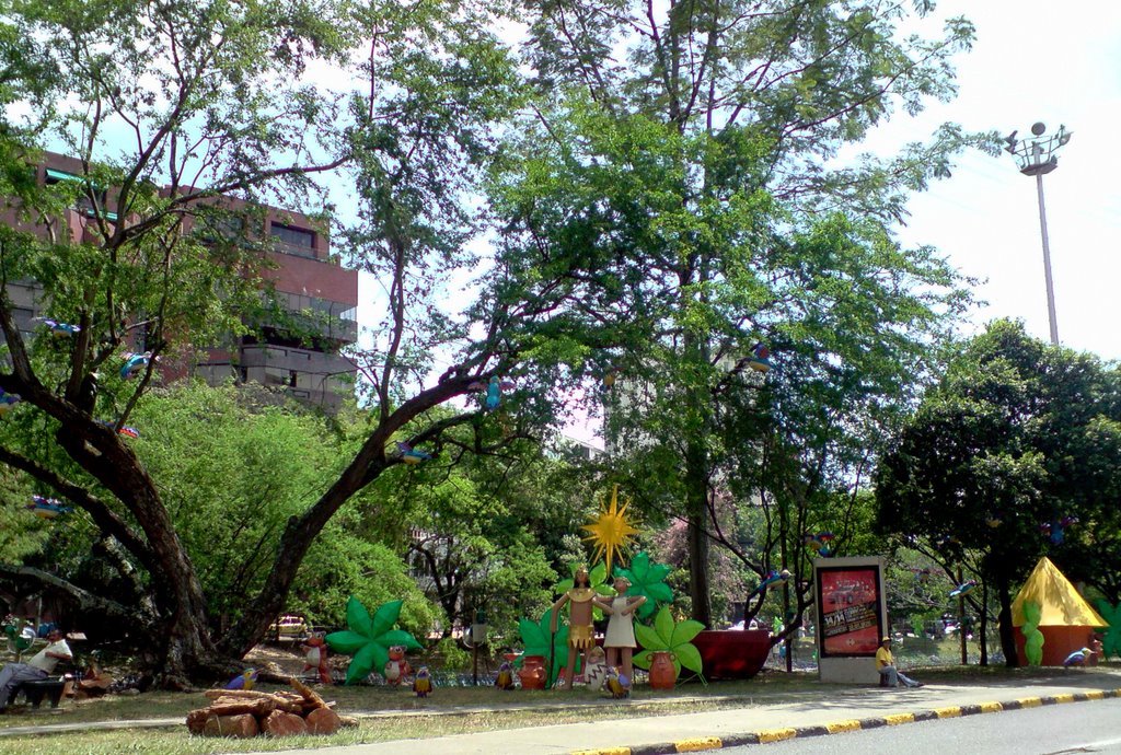 Preparativos para la navidad en Avenida Colombia de cali by Nel-Caro