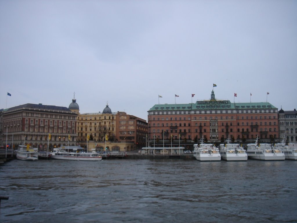 Stockholm by Svetlana Masalitina