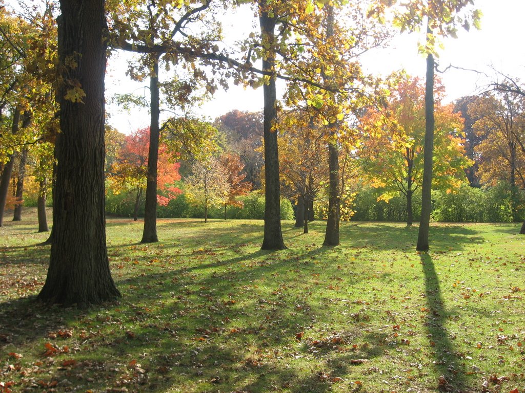 Autumn in Crystal Lake Park - Urbana, Illinois by neaveill