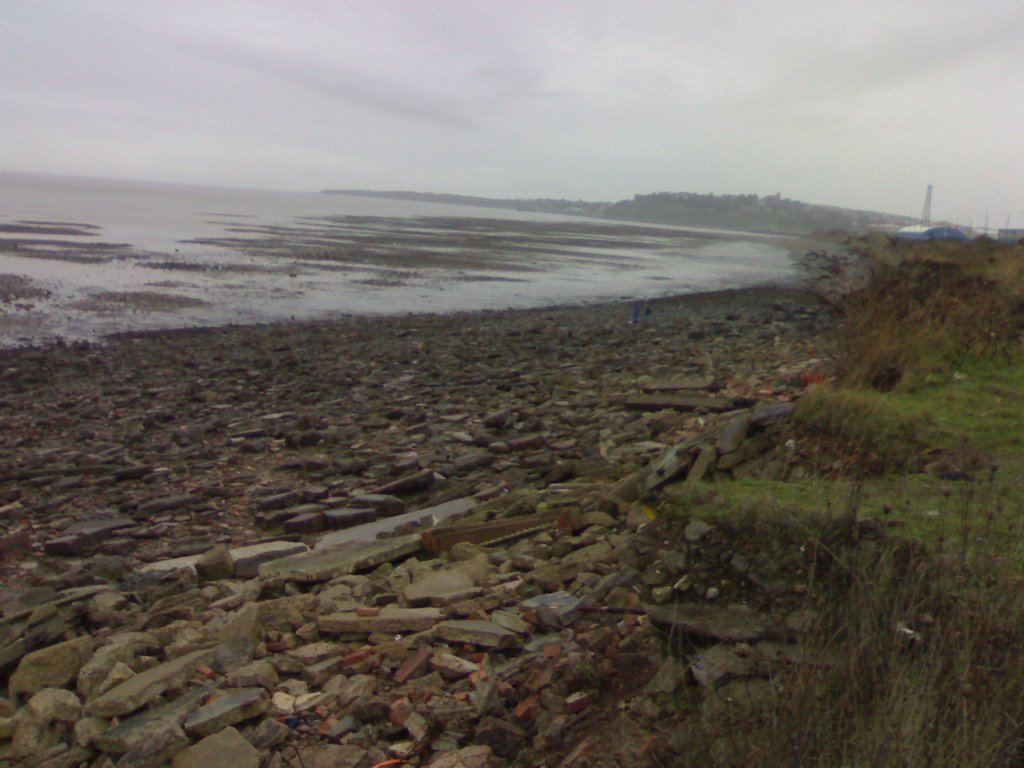 Cardiff foreshore by barrel