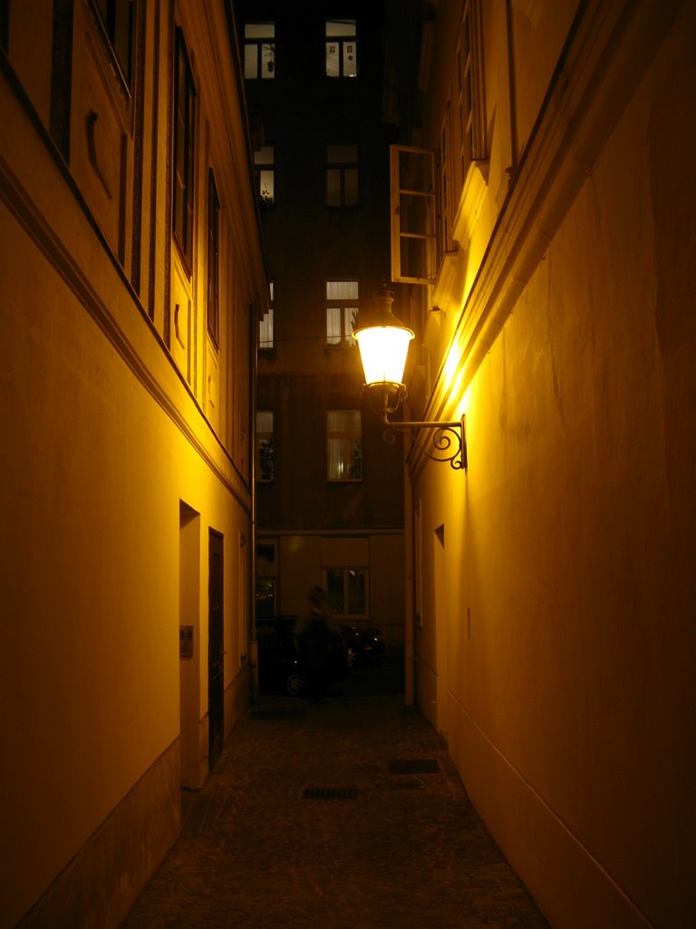 Im Laternenlicht (27.11.09) by e.m.r. 2 - a picture a day