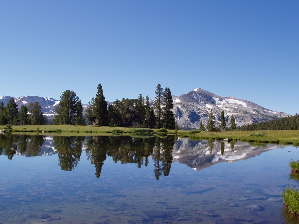 Tioga pass by bianchi89