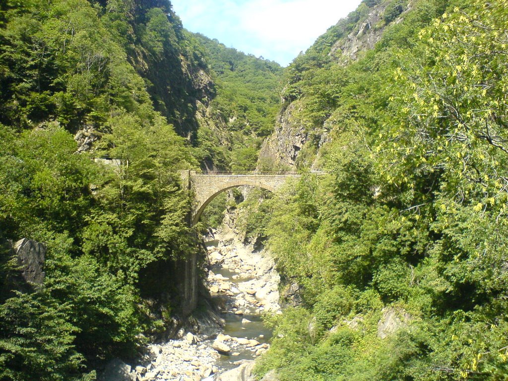 Ponte Casletto, la porta della Val Grande by valerio82