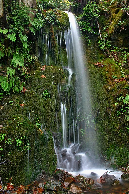 Agness Road Seasonal Falls by rjgjr