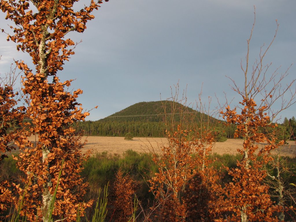 Puy des Goules by Doucette