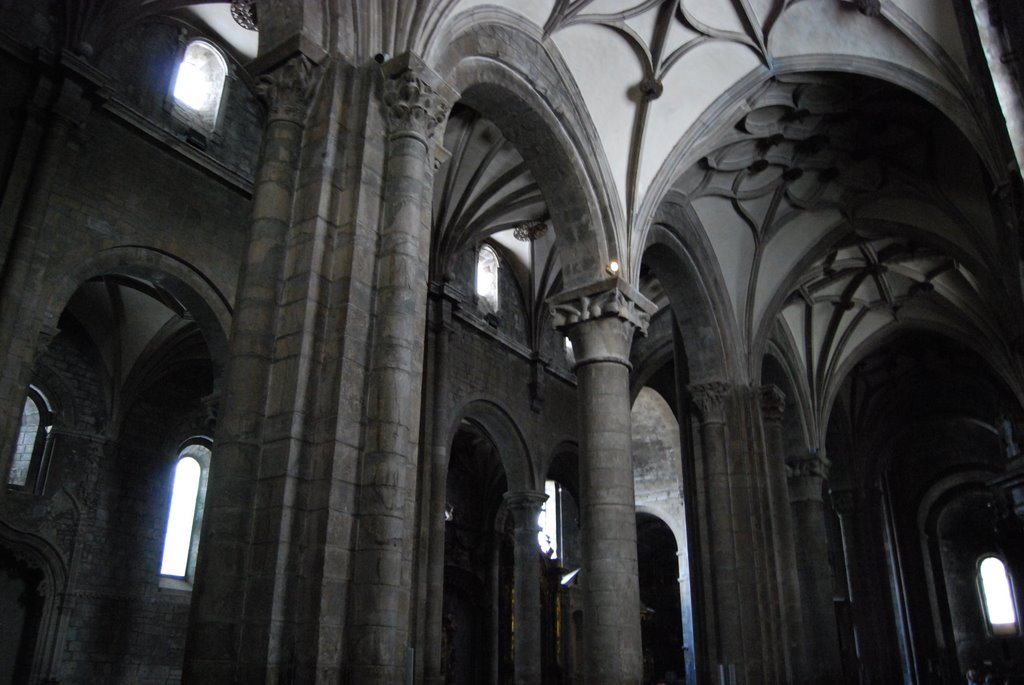 Pilares y columnas de la Catedral by Rosaflor