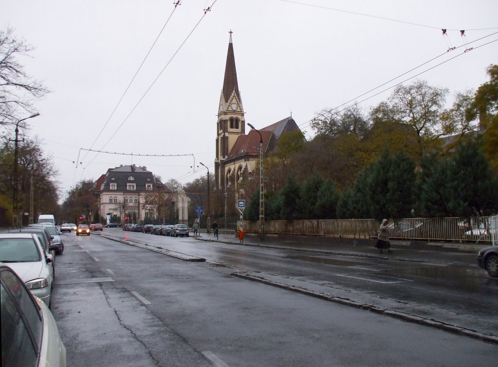 200911281319 A VII. kerületi Bajza utca (Street-view in the 7th district) by Kornél2009