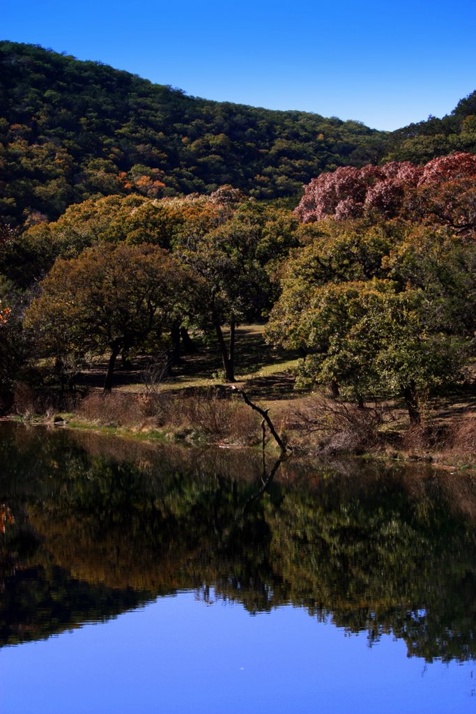 Reflecting Pool by Joseph Guyer