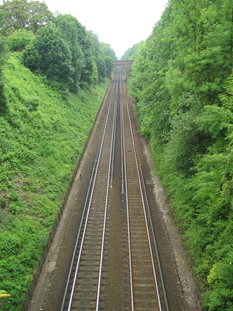 Route into Winchester by Fainleog sasanach