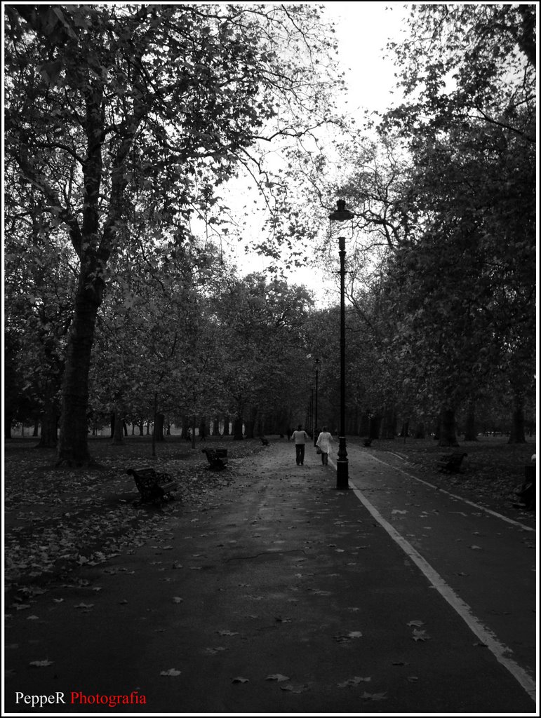 Hyde park by P.R.F