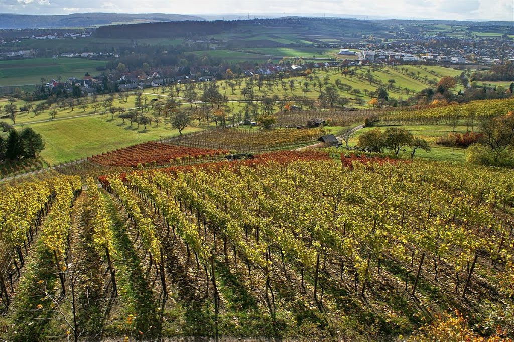 Ötisheim Blick von der Chartaque by Augenstein