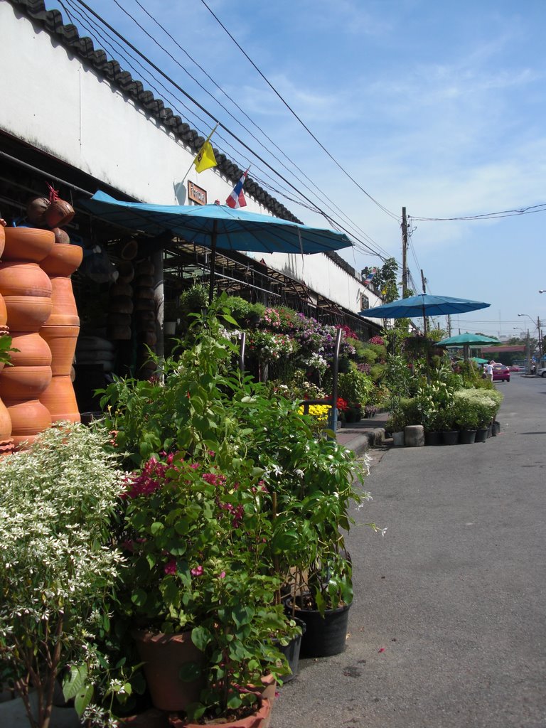 Amazing Thailand Flowermarket Thewet Thanon Krung Kasem by pivatana