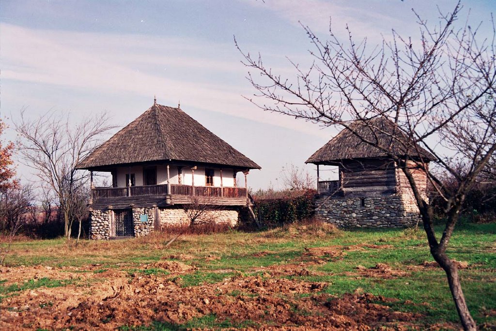 Muzeul Satului Curtisoara by Lucian H.