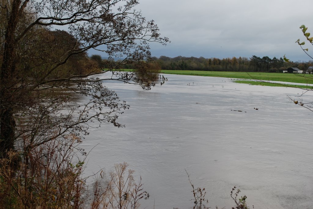 Liffey in flood by Rob Johnson