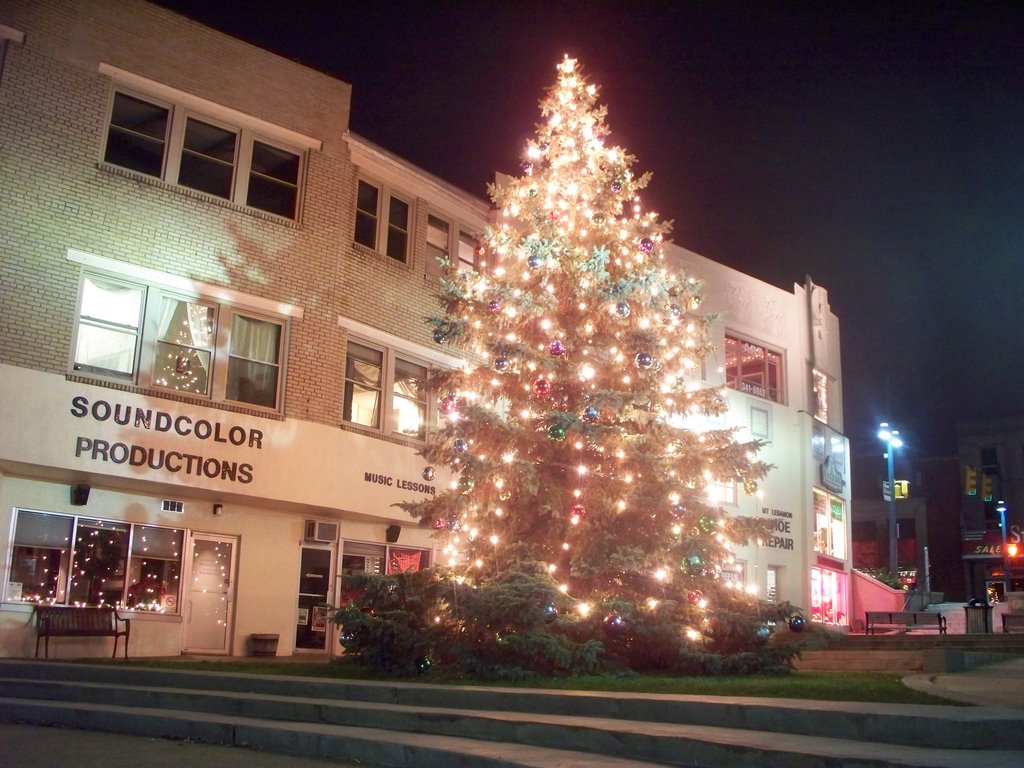 Mt. Lebanon Uptown Christmas Tree by rcmori