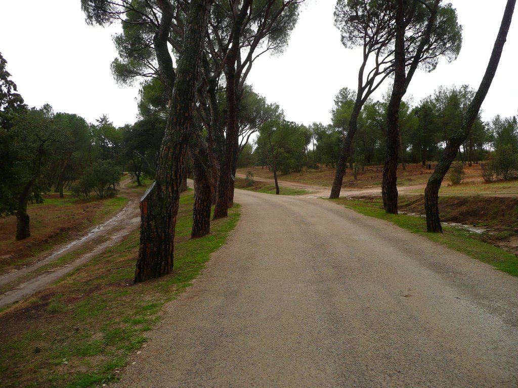 Camino de la Ciudad Universitaria - Antiguo Cº Viejo de Castilla by Alfonsopinel