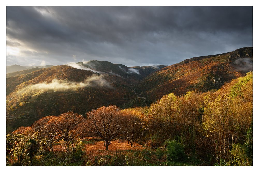 Pied de borne by Anthophoto