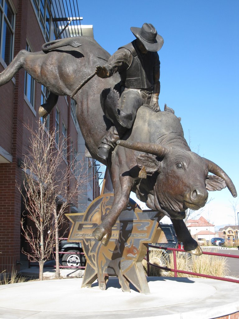 Professional Bull Riders by J. N. Gaudet