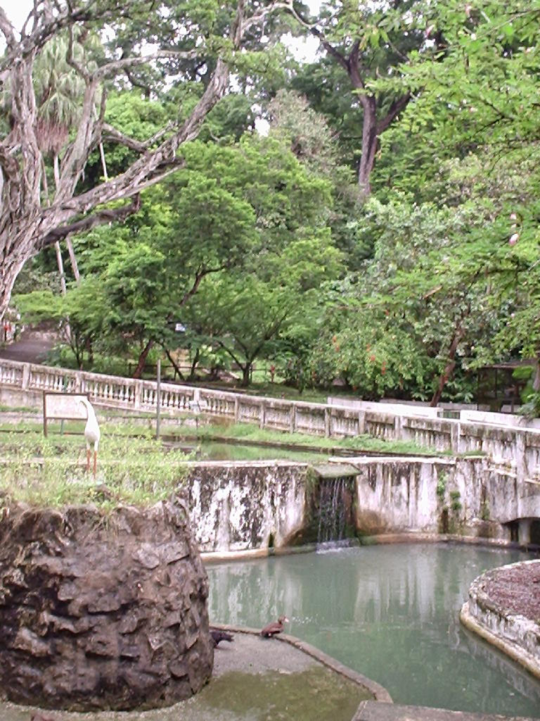 Parque Arruda Câmara - João Pessoa - PB by Ricardo Vieira