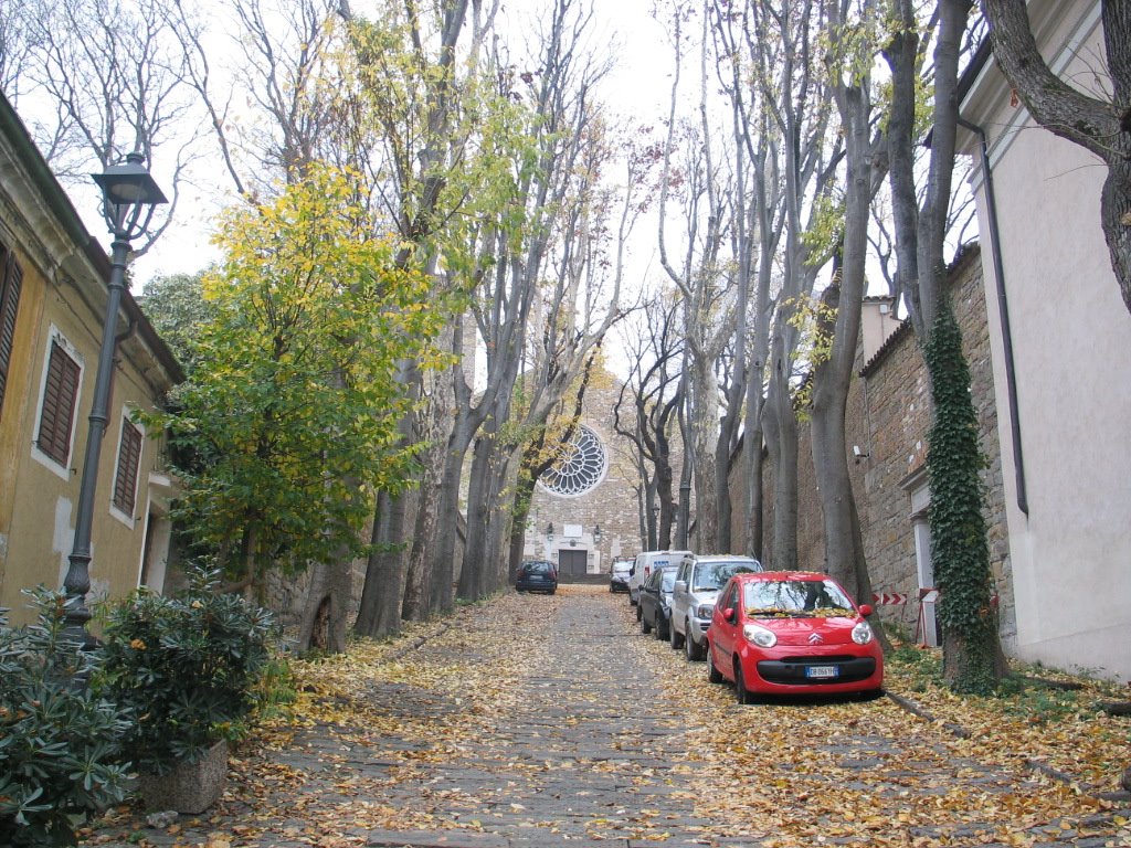 Via della Cattedrale by MarioTs - NO Views