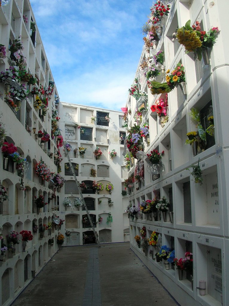 Flowers at the cemetery by Petteri Kantokari