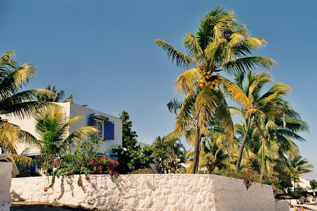 Mauritius - Coral Bay by Styve Reineck