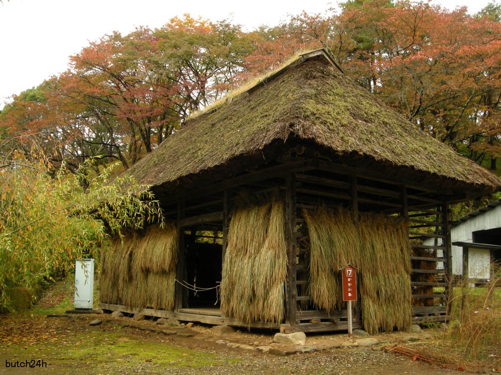 Michinoku(=Tohoku region of Japan) folk village,Kitakami city,Iwate pref,Oct 27 2009　みちのく民俗村（岩手県北上市）２００９年１０月２７日 by butch24h