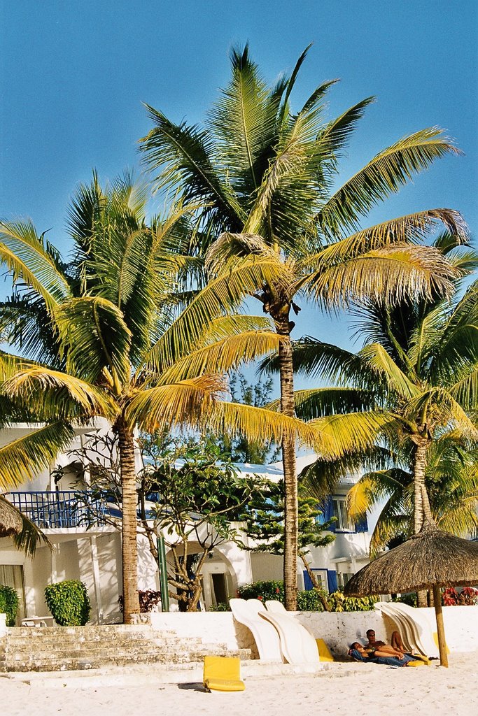 Mauritius - Coral Bay by Styve Reineck