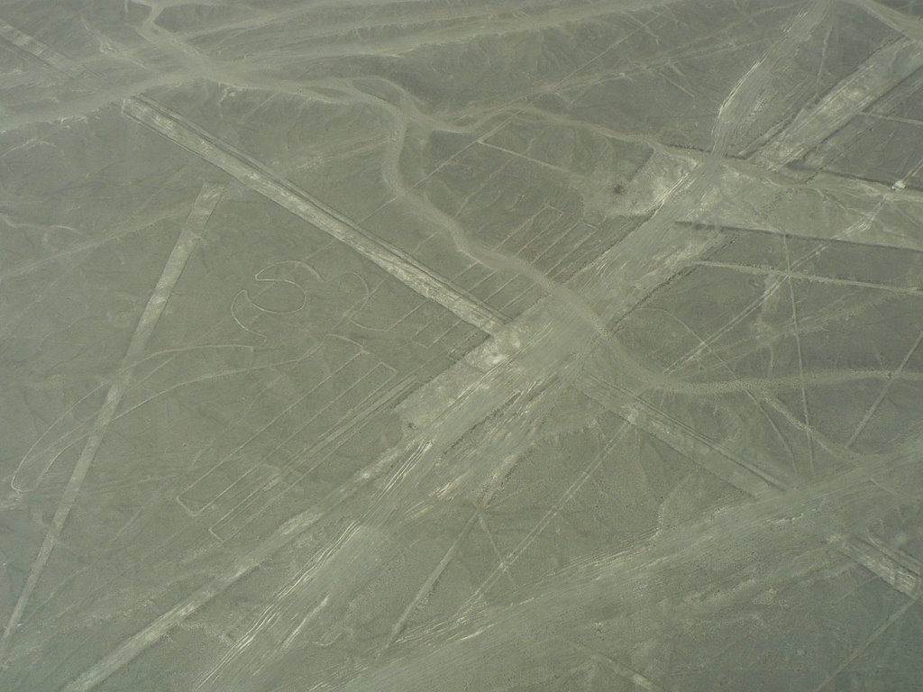 Nazca lines: Parrot, Peru by Nicola e Pina Peru 2007