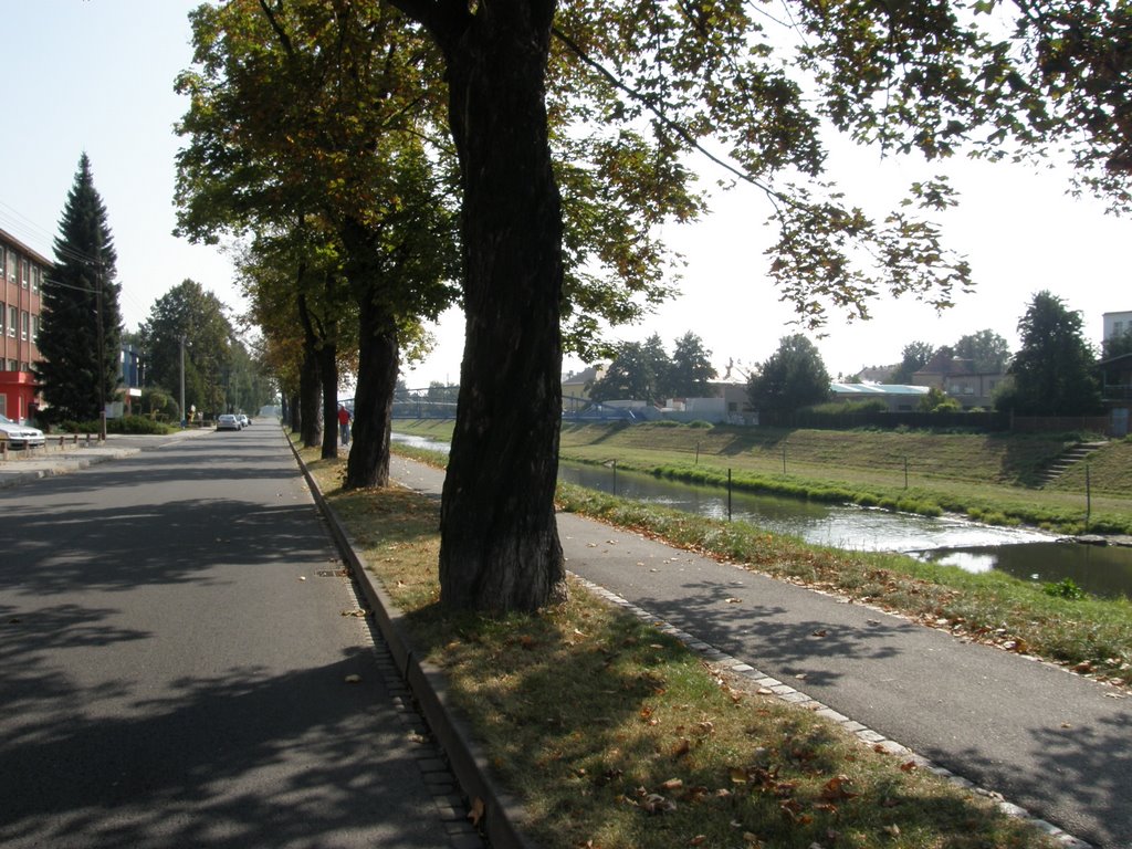 U řeky Opavy, 19 (At the river Opava), Opava, Czech Republic by MAPP HUDRANS