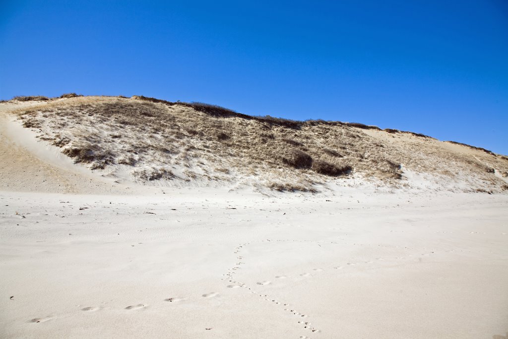 Cape Cod National Seashore by Mark Kortum