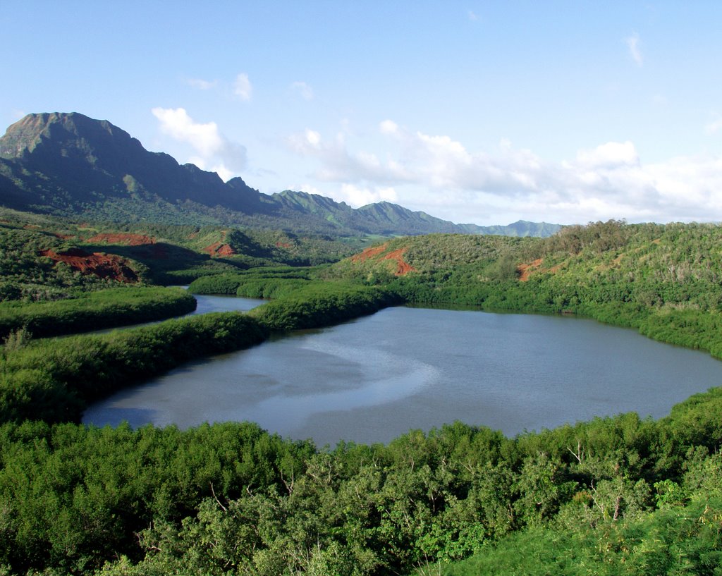 Menehune Fish Pond by Mark Kortum