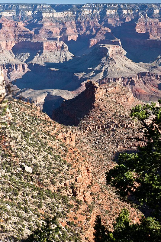 Grand Canyon Morning by Bob Engelbart