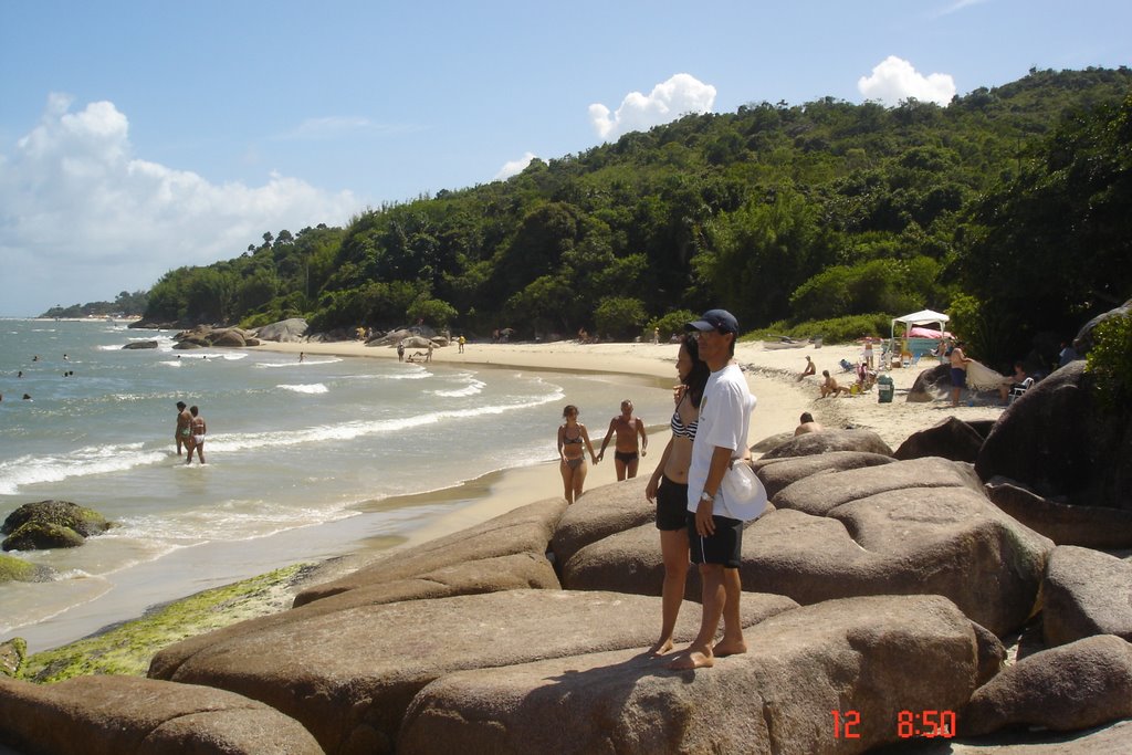 Praia da Daniela - Florianópolis - Santa Catarina - SC - Brazil by Paulo Yuji Takarada