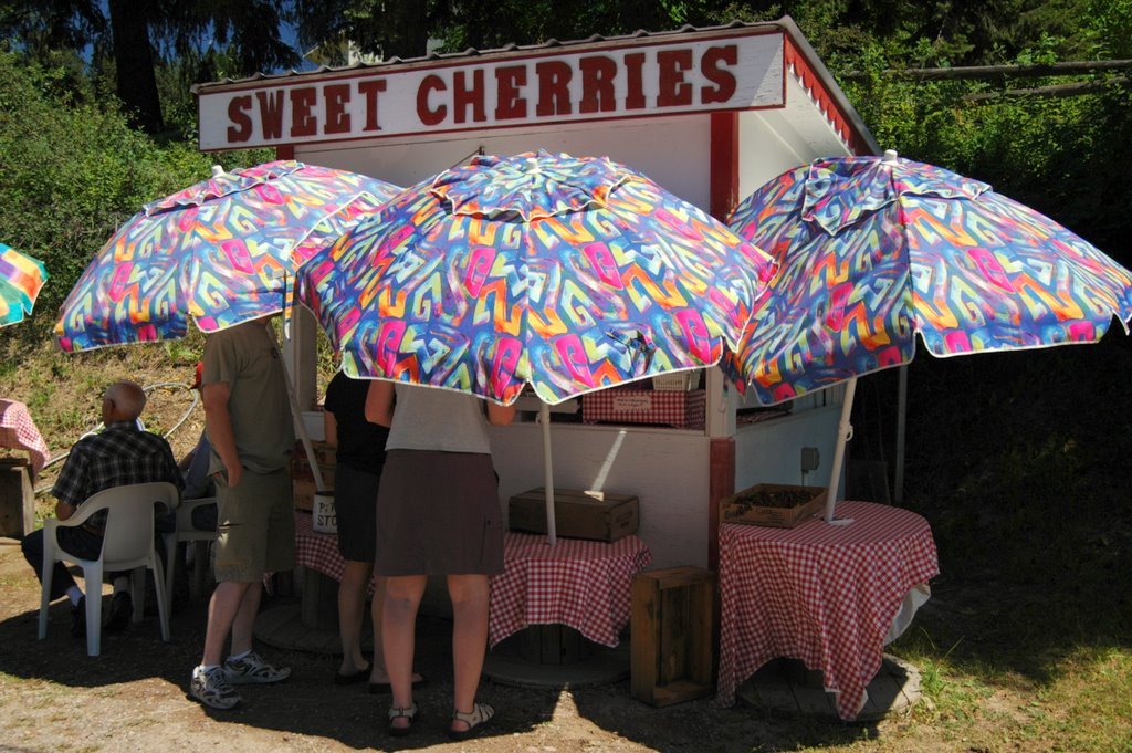 Cherry Stand - Flathead Lake, Montana by Preston Low